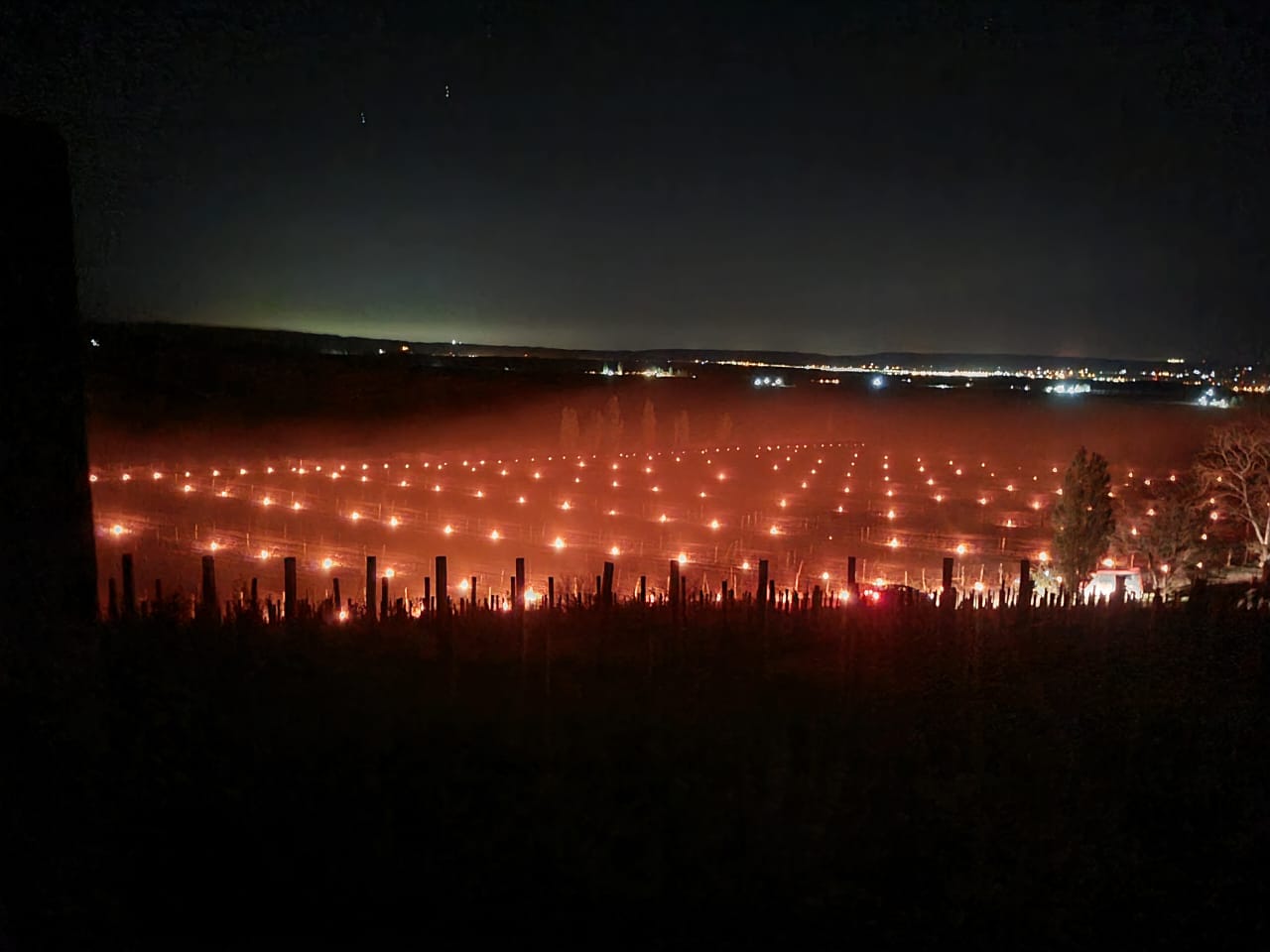 Mapeo Térmico Agrícola